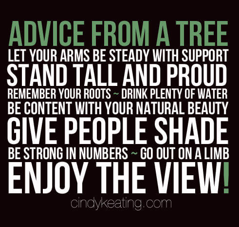 Advice From A Tree